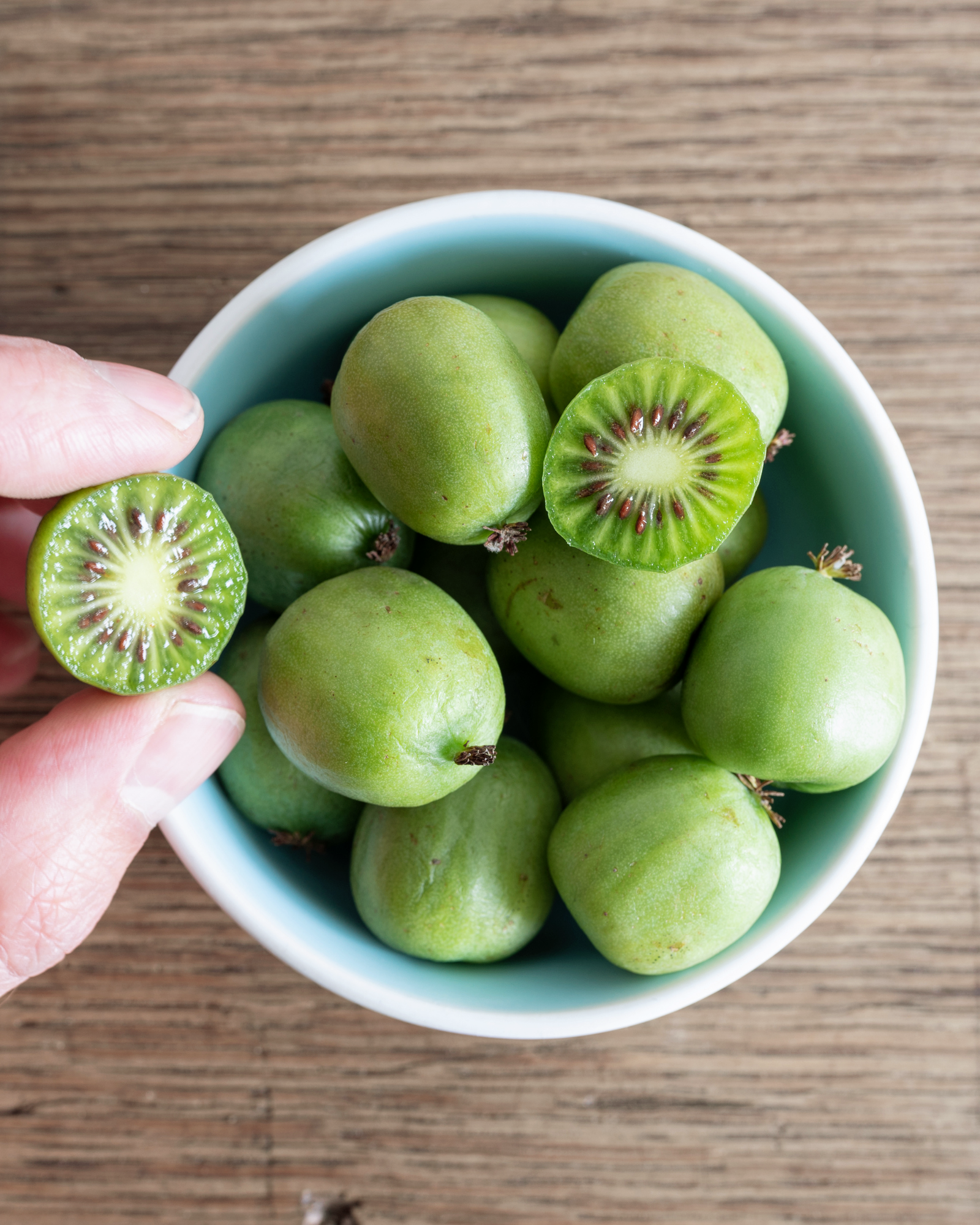 Actinidia arguta - Kiwibeere