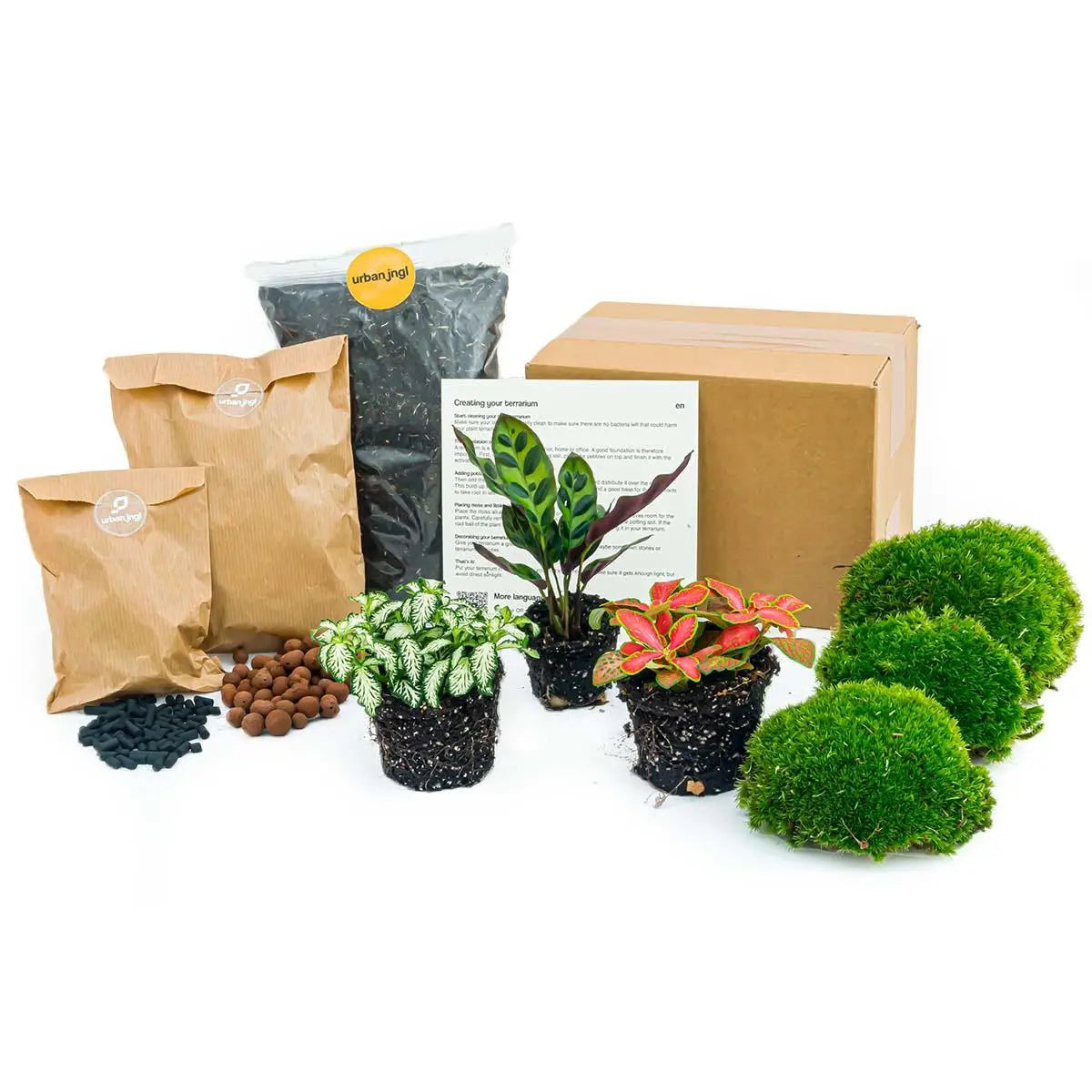 Pflanzenterrarium - Pflanzen und Zubehör für Terrarien - Image