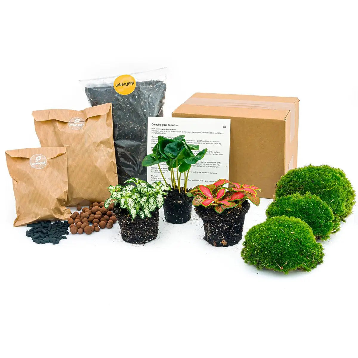 Pflanzenterrarium - Pflanzen und Zubehör für Terrarien - Image