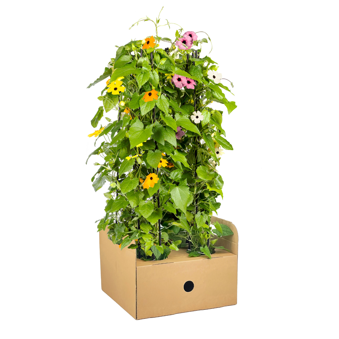 Bild für Variante ↨50 – 70cm・⌀13cm・Farbenmix・4er-Set