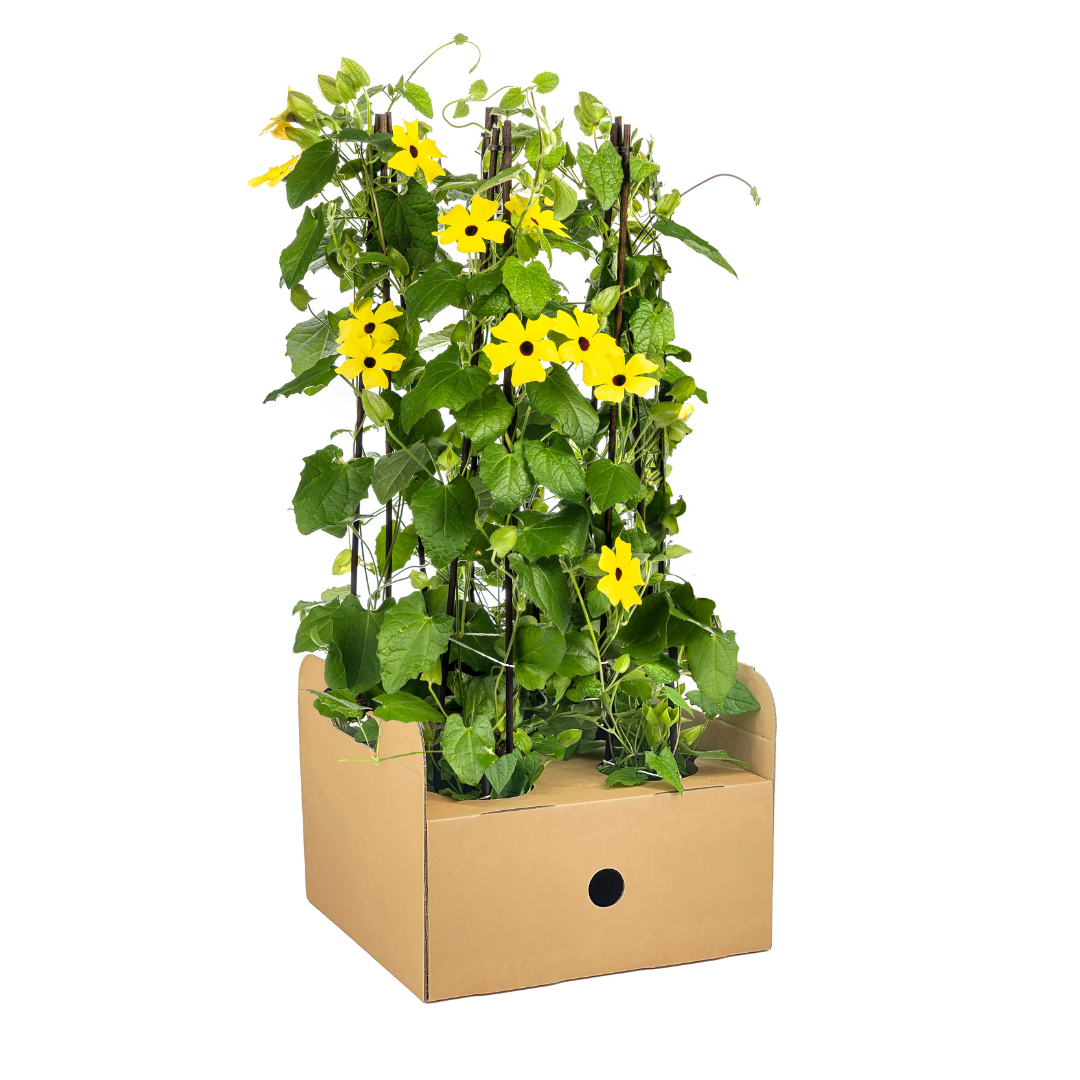 Bild für Variante ↨50 – 70cm・⌀13cm・Farbe &