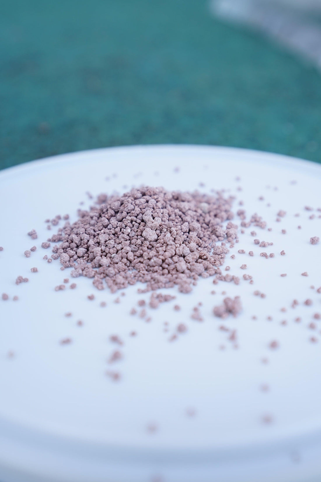 Langsam Löslicher Palmendünger - 1kg Eimer - Image