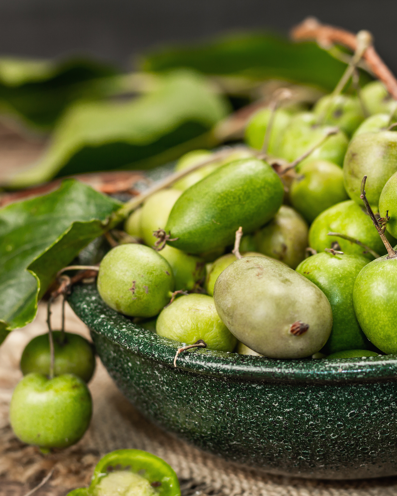 Actinidia arguta - Kiwibeere