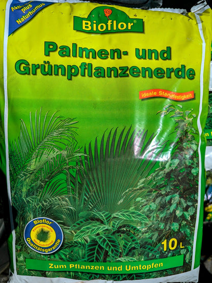 Bioflor Palmenerde - 10L Sack