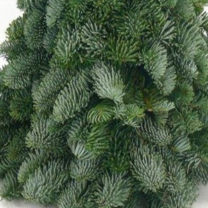 Nobilis-Dekotanne - Weihnachtsbaum aus Tannenzweigen