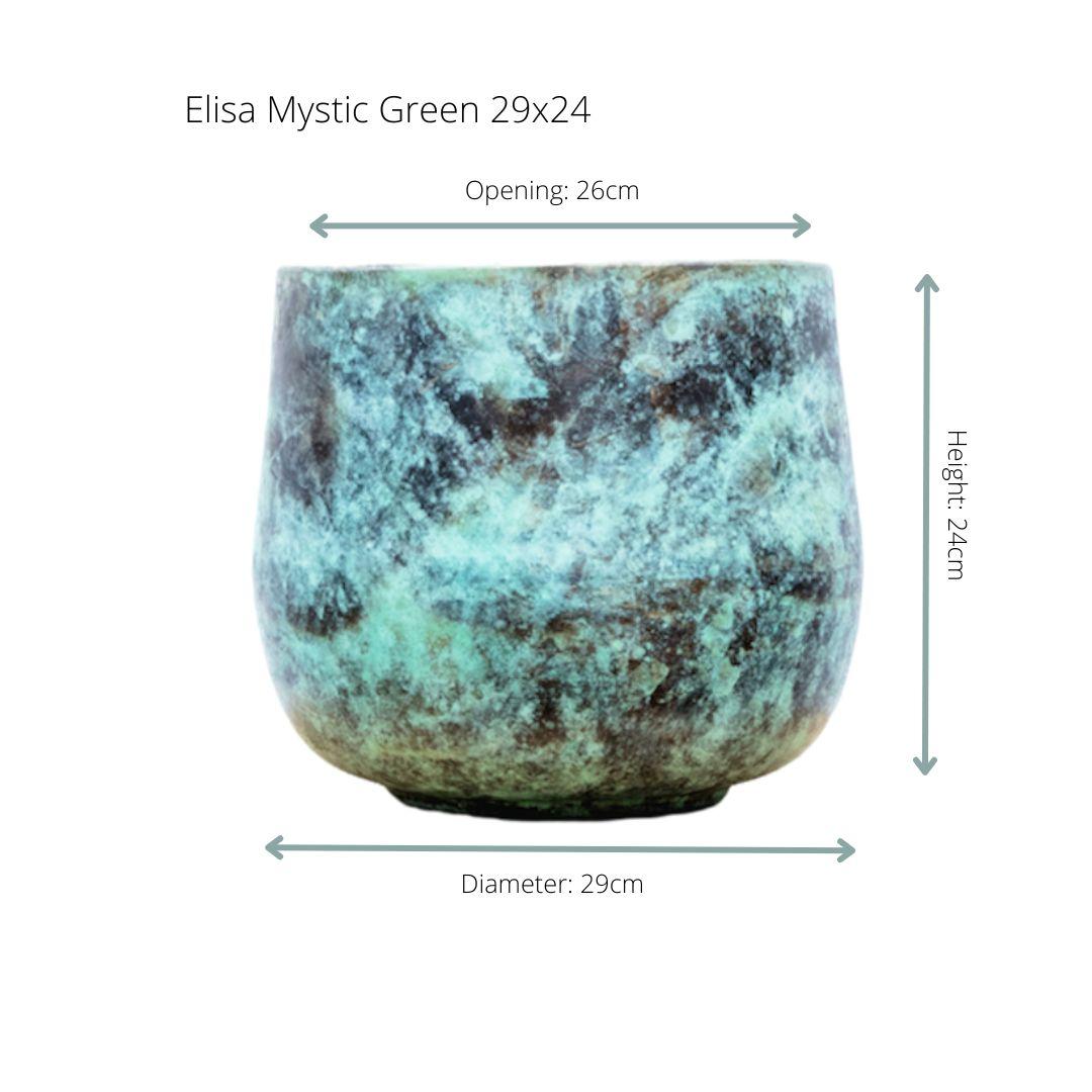 Elisa &