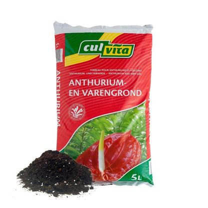 Bild für Variante 5L・Anthurien- und Farnerde