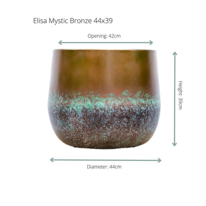 Elisa &