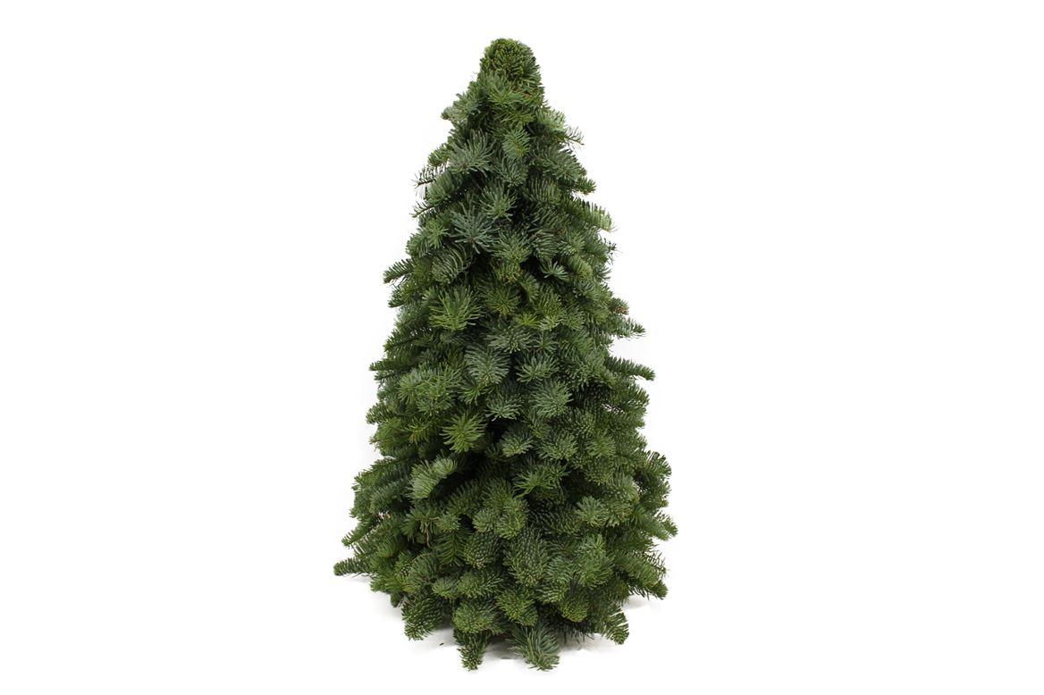 Nobilis-Dekotanne - Weihnachtsbaum aus Tannenzweigen