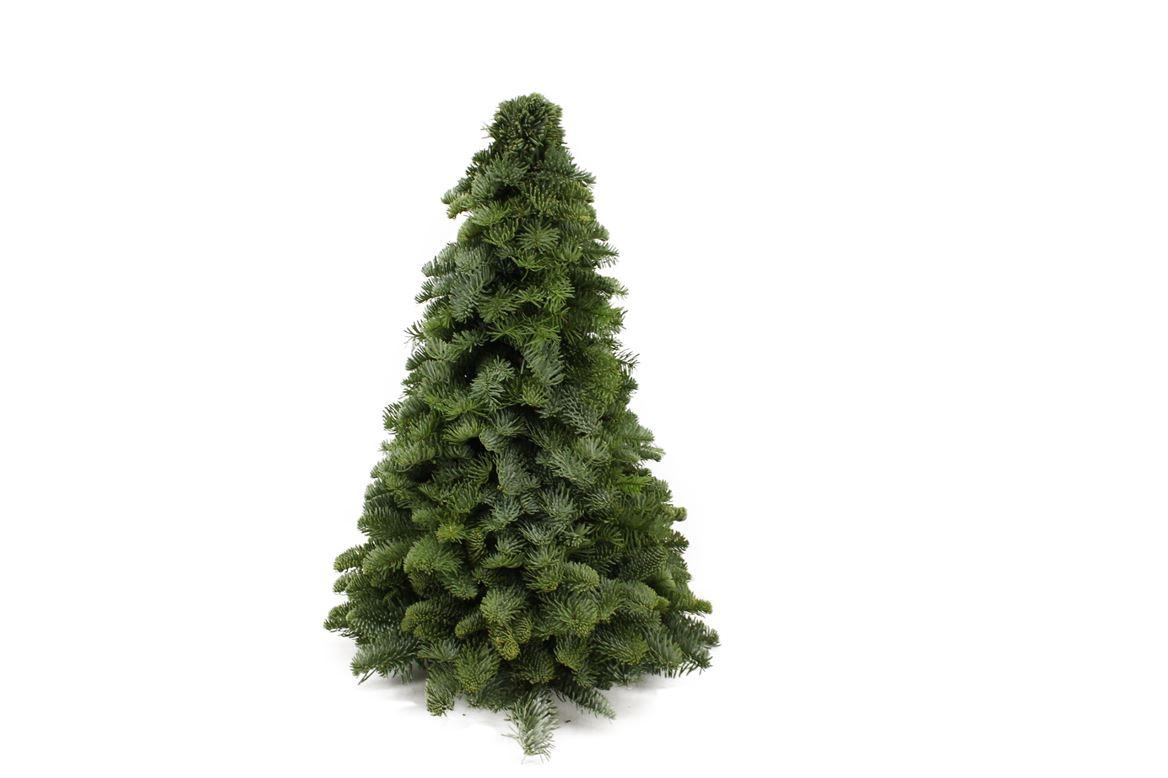 Nobilis-Dekotanne - Weihnachtsbaum aus Tannenzweigen