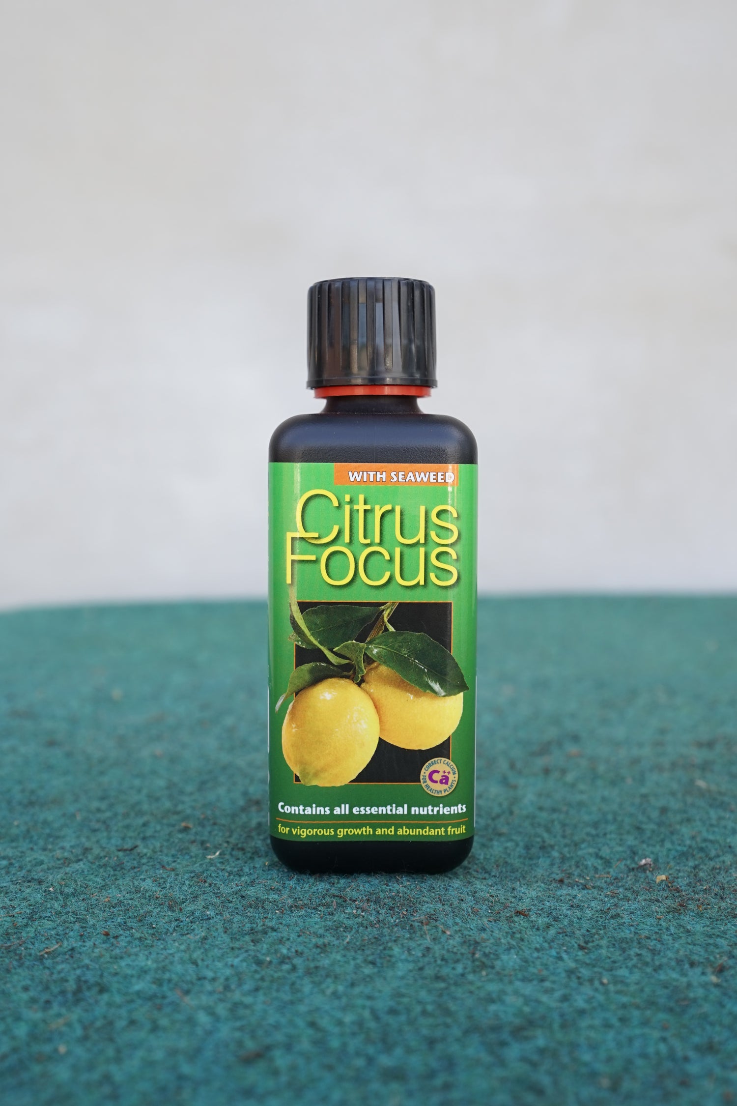 Citrus focus - Zitrus-Flüssigdünger 100ml